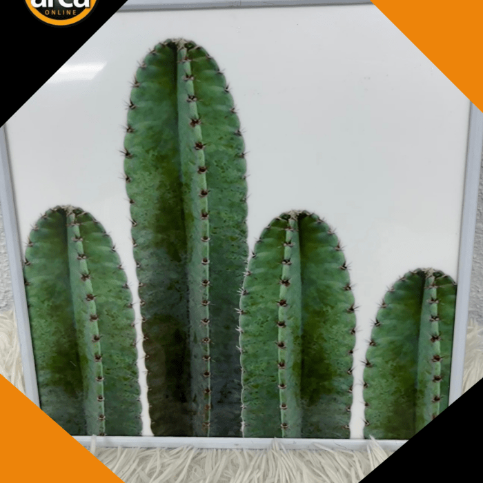 Quadro Decorativo