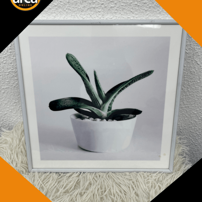 Quadro Decorativo Cacto
