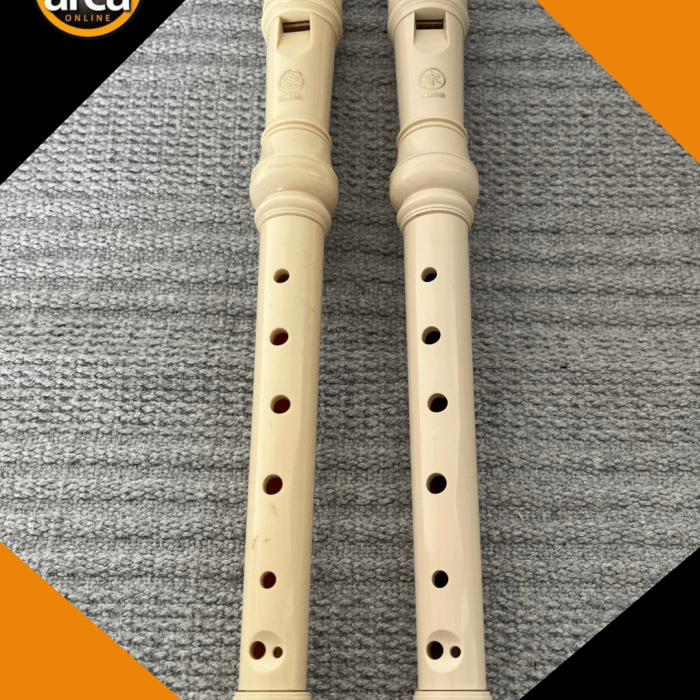 Kit Flauta Doce Yamaha