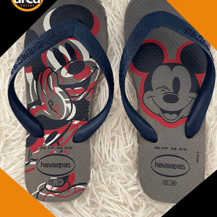 Chinelo Havaianas Infantil