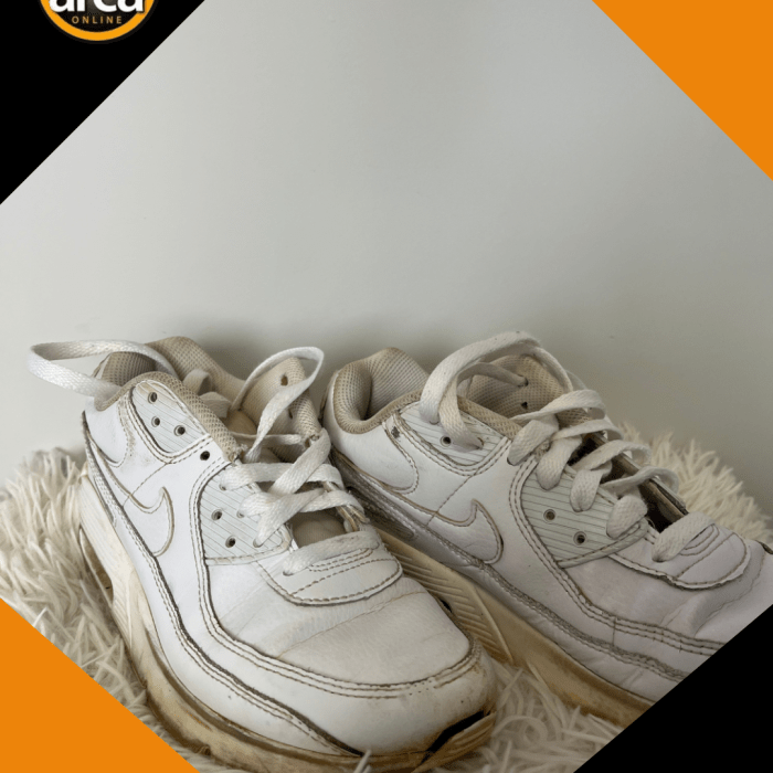 Tenis Nike Air